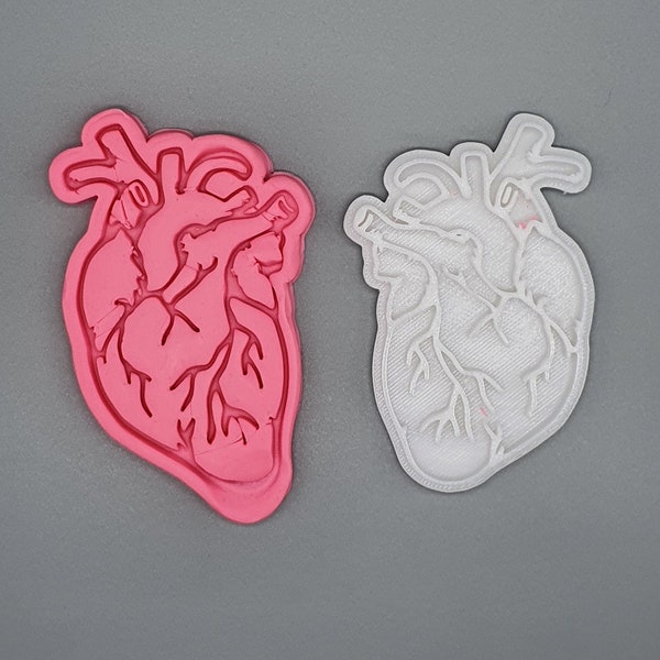 Anatomical Heart  Medicine Body Cookie Cutter Anatomy Cookie Cutter Set - Medical Student Gift Anatomical Heart Cookie Cutter | BakeDO