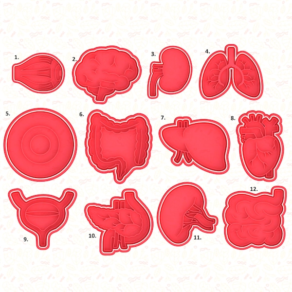 Human Organs Cookie Cutter Lung Heart Stomach Intestines Kidney