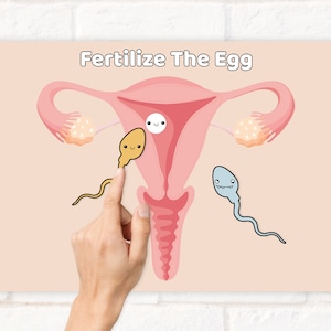Baby Shower Pin the Sperm game, Baby shower games, Baby Shower Game, Fertilize the Egg Baby Shower Group Games, Printable Poster Party Game
