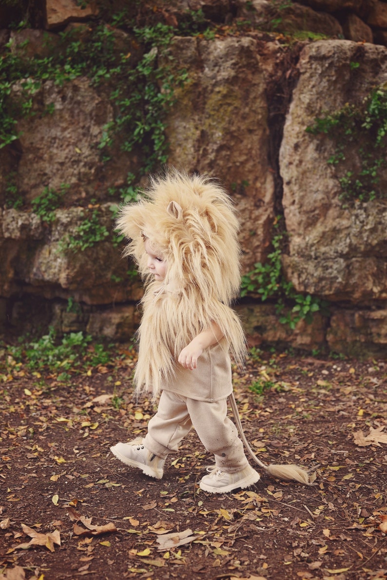 costume lion, Kids Costume, Animal Costume, costume king , Halloween, Carnival, Purim, Children's Costume, toddler image 4