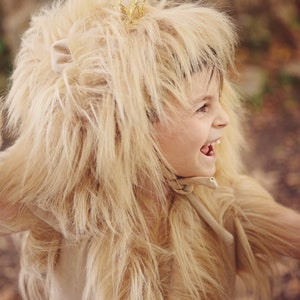 costume lion, Kids Costume, Animal Costume, costume king , Halloween, Carnival, Purim, Children's Costume, toddler image 3