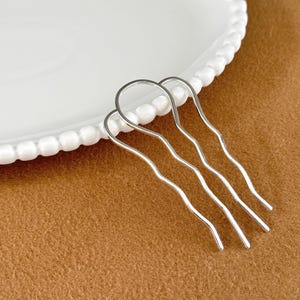 May include: A silver-colored hair comb with three wavy prongs, resting on a white plate with a beaded edge. The background is a solid brown color.