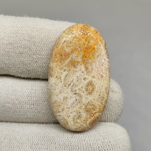 Fossile Koralle Cabochon 34X19X6 MM Ovale Form 35ct Natürliche beige Farbe fossile Koralle Edelstein für Schmuck Wire Wrapping CAB02059