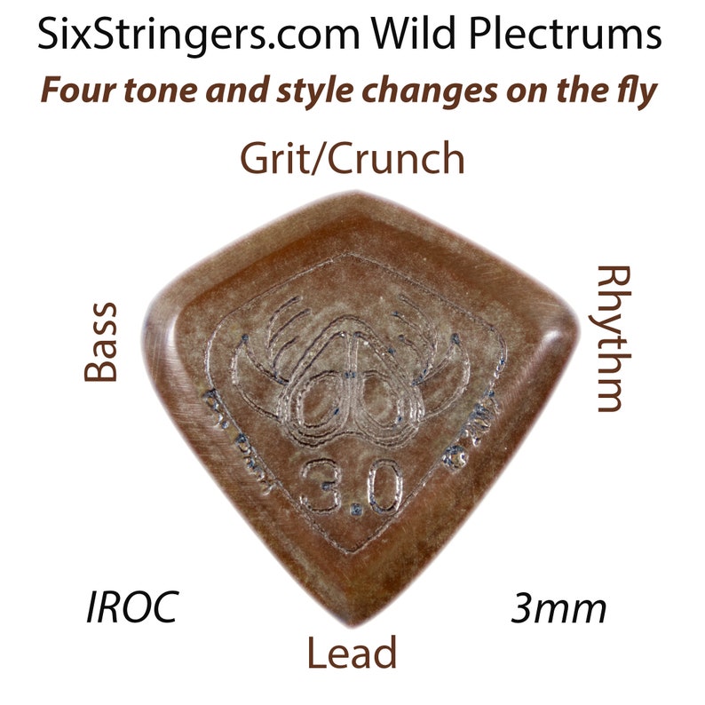 Guitar Picks 2 pcs 3mm SixStringers Wild Plectrum IROC: Free Shipping for Continental US image 2
