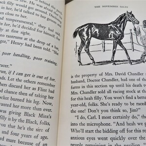 Puede incluir: Ilustraci&oacute;n en blanco y negro de un caballo con un jinete. El caballo est&aacute; de pie en un &aacute;rea vallada. El texto "THE NOVEMBER SALES" es visible en la esquina superior derecha de la imagen.