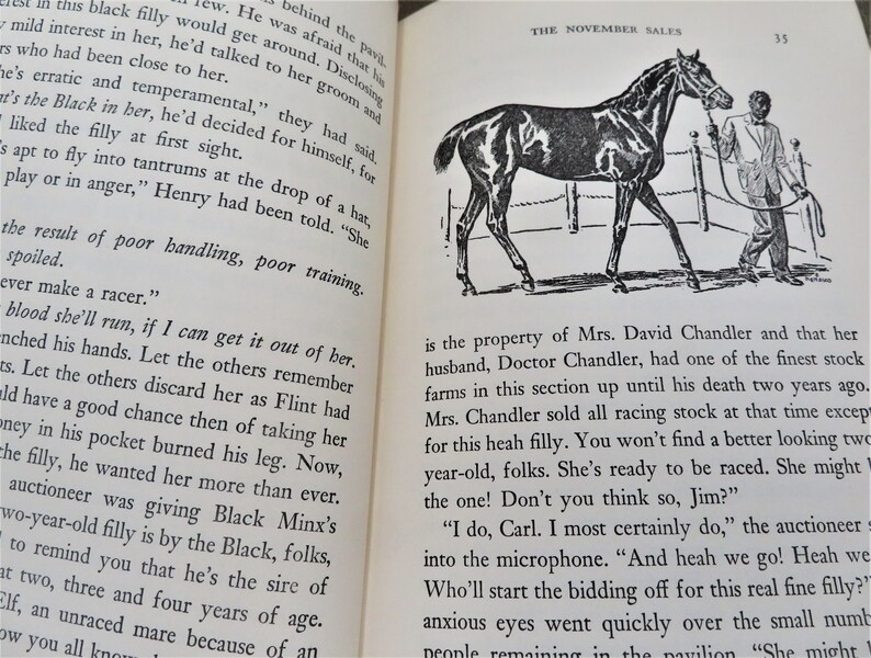 Puede incluir: Ilustraci&oacute;n en blanco y negro de un caballo con un jinete. El caballo est&aacute; de pie en un &aacute;rea vallada. El texto "THE NOVEMBER SALES" es visible en la esquina superior derecha de la imagen.