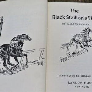 Puede incluir: Una ilustraci&oacute;n en blanco y negro de un caballo corriendo en una pista. El texto de la portada del libro dice "The Black Stallion's Filly" de Walter Farley. El libro est&aacute; ilustrado por Milton Menasco y publicado por Random House.