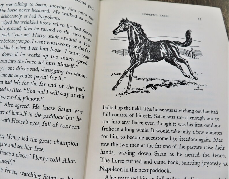 Puede incluir: Ilustraci&oacute;n en blanco y negro de un caballo corriendo en un campo. El caballo est&aacute; estirando las patas y tiene la cabeza girada hacia la izquierda. El texto "HOPEFUL FARM" est&aacute; en la esquina superior derecha de la imagen.