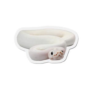 May include: A white snake sticker featuring a detailed illustration of a snake. The snake is coiled and has a light pink head with dark spots. The sticker has a white border.