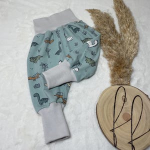 Peut inclure: Pantalon bébé bleu clair avec un imprimé de dinosaures. Le pantalon a une taille et des poignets élastiques gris.