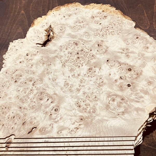 Maple Burl Thin Slices