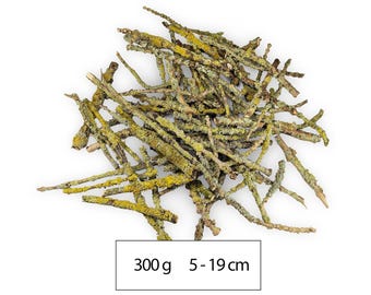 300 g Kleine Flechtenäste 5–19 cm – Getrocknete Naturzweige für Modellbau, Kränze, Basteln, Dekoration & DIY-Projekte