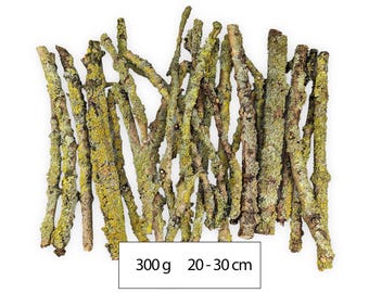 300 g Flechtenäste Getrocknet. Lichen Branch Vom Laubbaum In Gelb, Grün Und Grau für Terrarium, Floristik, Heimdekoration, Mooszweig