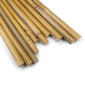 Bambusstangen Set (10 Stück) – Natürliche Bambusrohre 10, 20 & 30 cm – Deko, DIY, Garten, nachhaltig, vielseitig verwendbar