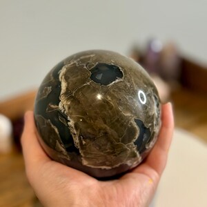 Puede incluir: Una esfera pulida de piedra marrón y negra, sostenida en una mano. La piedra tiene un aspecto veteado con patrones oscuros e irregulares y un acabado brillante. La superficie de la esfera refleja la luz, resaltando su textura y variaciones de color.