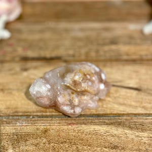 Flower Agate Turtle