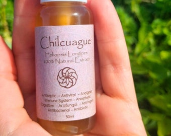 Tintura de chilcuague
