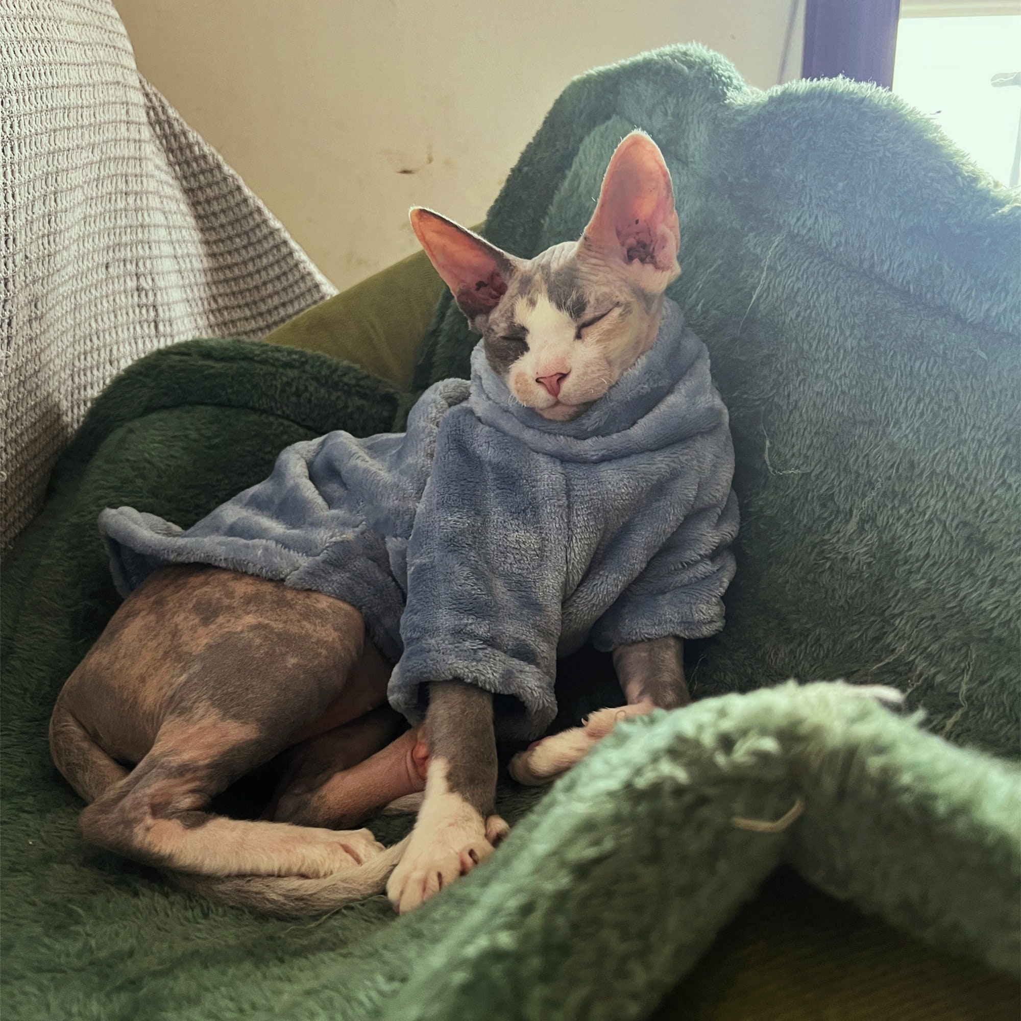 Hairless Cat Sweater/kitten Pullover/warm Cat Clothes/cat Turtleneck