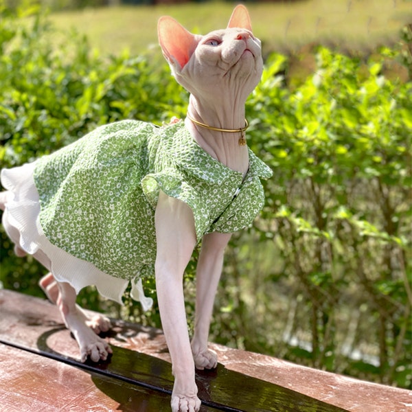 Vêtements d’été Sphynx Cat,Robe Verte Cat,Tenue de Chat Sans Poils,Jupe Cat Taille,Vêtements De Chat De Pois De Dentelle,Robe À Souffle Dentelle Pour Chat,Devon Rex