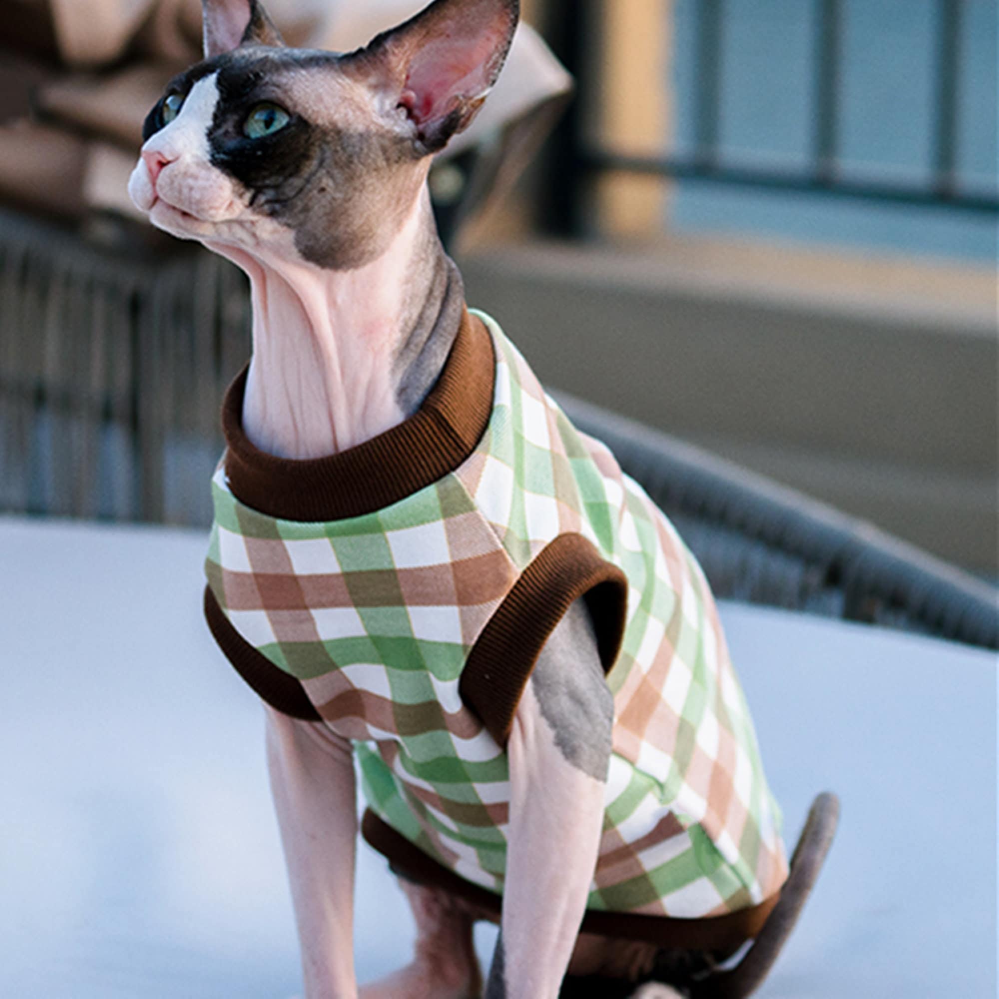 Cat flannel shirt sale