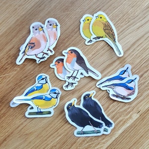 Süße Vogel Sticker 12er Set