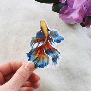 Glänzender großer Vinyl Aufkleber / Sticker eines Goldfisches