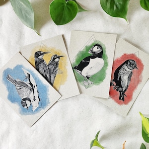 Kunstdruck/ Print/ Postkarten "Vögel" / Graspapier / nachhaltig