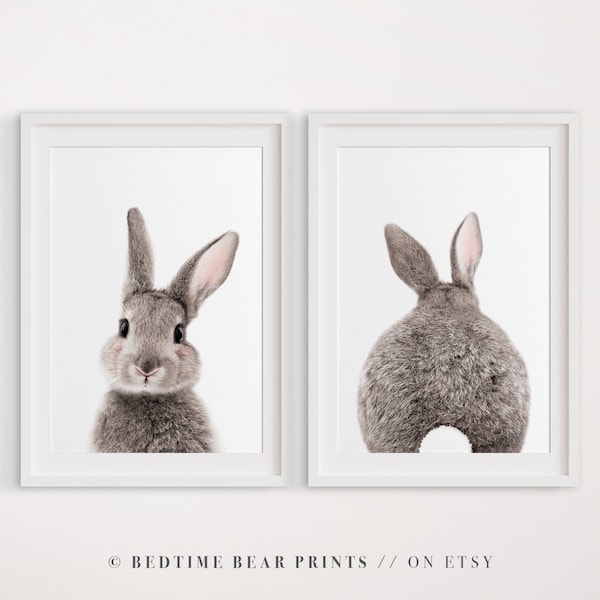 Bunny Rabbit Print Etsy