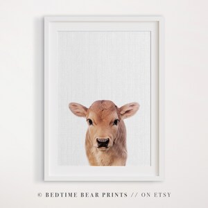 Baby Calf Nursery Wall Art, Baby Cow Printable, Farm Animal Print for Kids Room or Nursery Decor, Instant Download