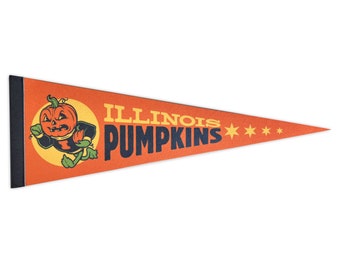 Illinois Pumpkins Pennant