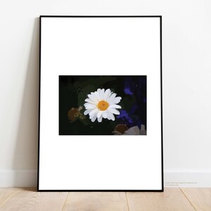Daisy flower Digital Print