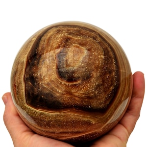 Può includere: Oggetto decorativo sferico lucido con un motivo a vortice di tonalità marroni e beige. L'orbita è tenuta in una mano su uno sfondo bianco, mostrando i suoi toni naturali e terrosi e le sue venature uniche.