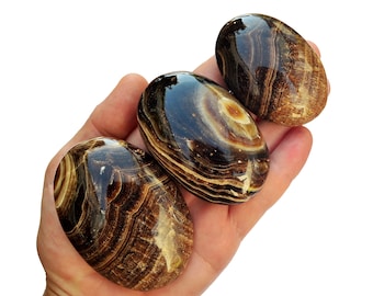 Chokladkalcitpalmsten (45 mm - 75 mm) – Rotchakrakristall