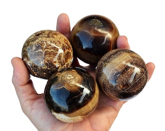 Chocolate Calcite Sphere Lot (3 -6 Pcs), Natural Banded Calcite (45mm - 60mm), Brown Calcite, Root Chakra