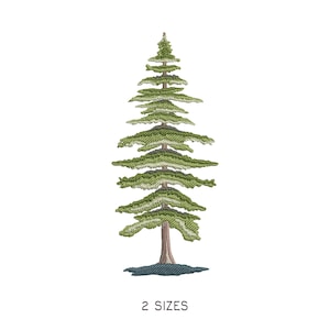 Evergreen Fir Tree on Ground Embroidery Design. Machine Embroidery Pattern. Nature Trees Scene. Fast Download Digital File