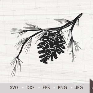 Scena di pigna su ramo di albero. Modello tagliato al laser. Scena della natura. File SVG. Silhouette digitale. Download immediato del file digitale
