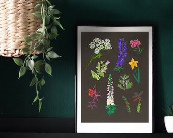 Poisonous Plants Wall Art | Giclée Art Print