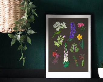 Poisonous Plants Printable Wall Art / Descarga digital