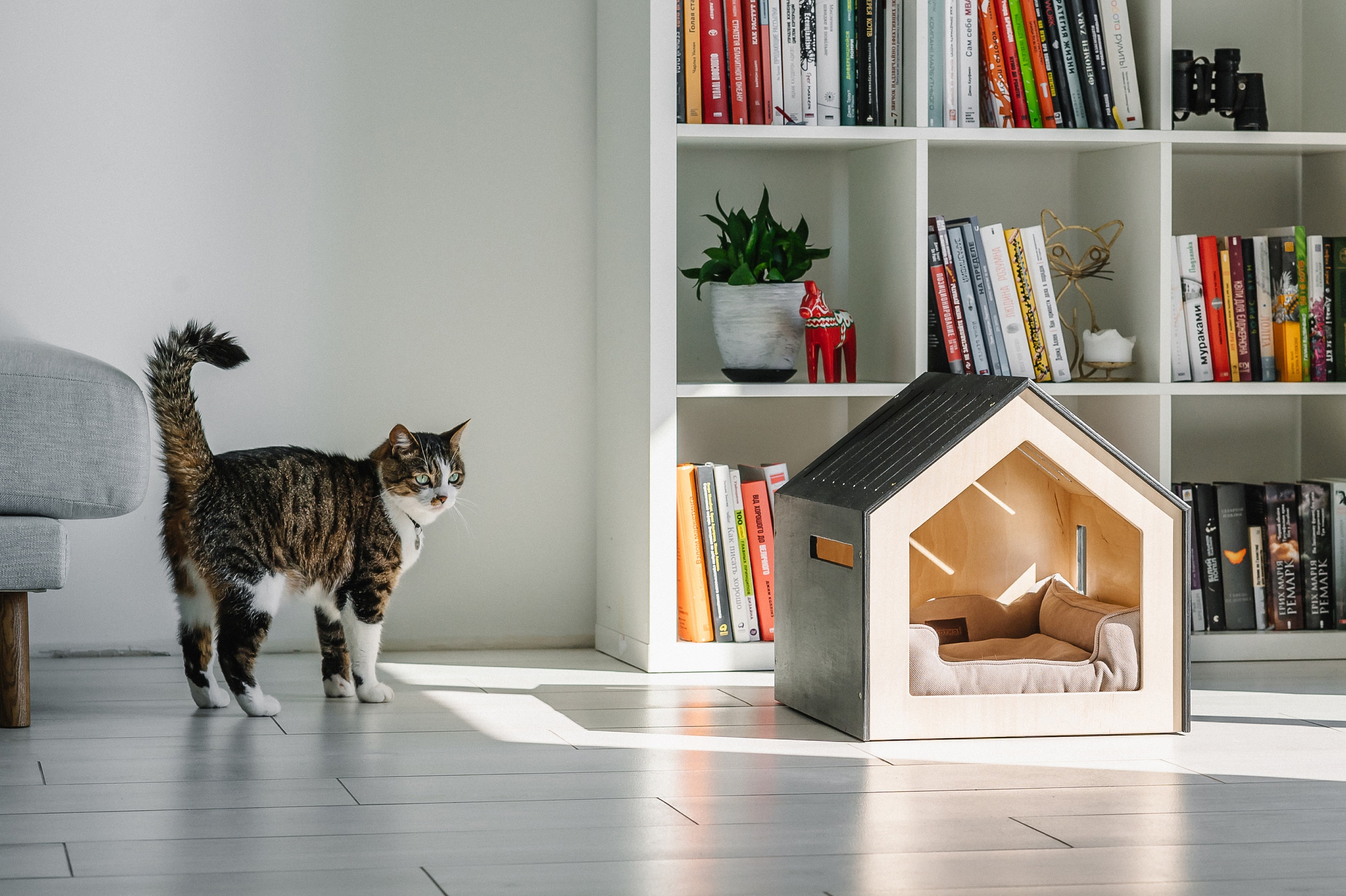 Indoor cat/dog house