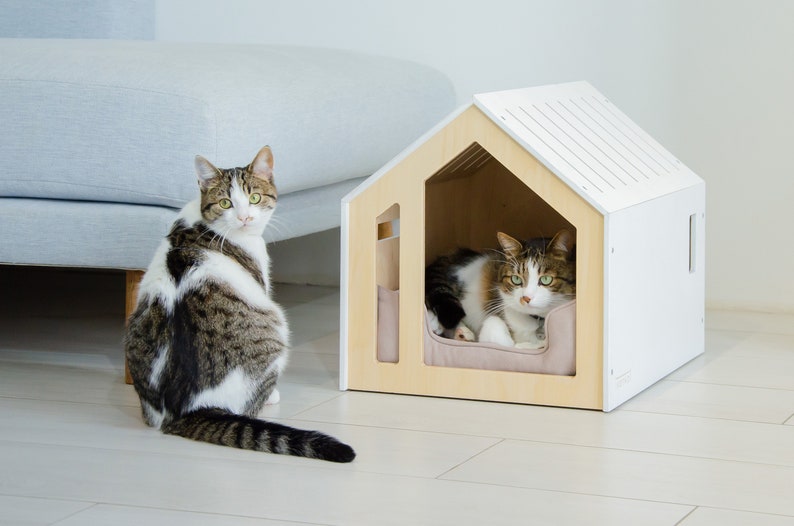 Modern Dog and Cat House With All Over Painting. Cat Bed, Dog Furniture, Indoor Cat House, Dog