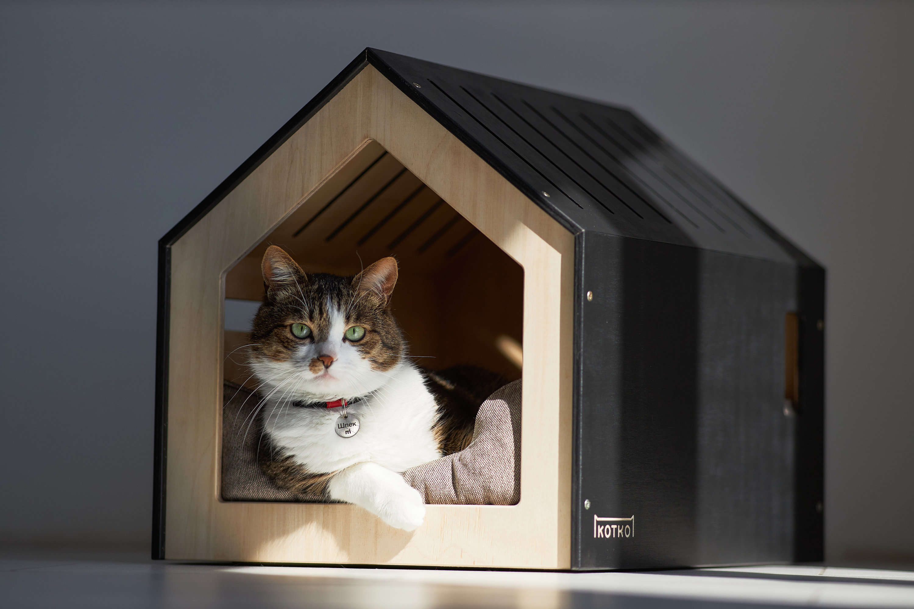 Modern Dog and Cat House. Indoor Dog House. Indoor Cat House. Dog Bed