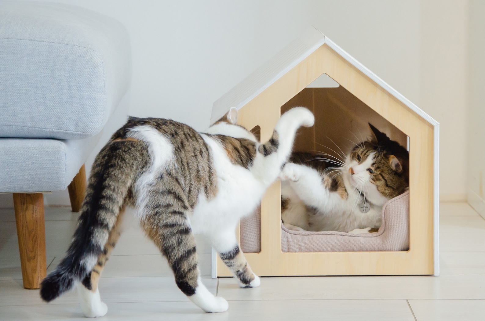 Minimalist Dog and Cat House. Dog Bed Cat Bed Cat House Pet Etsy