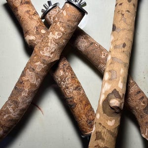 Natural wood Perch for Parrots