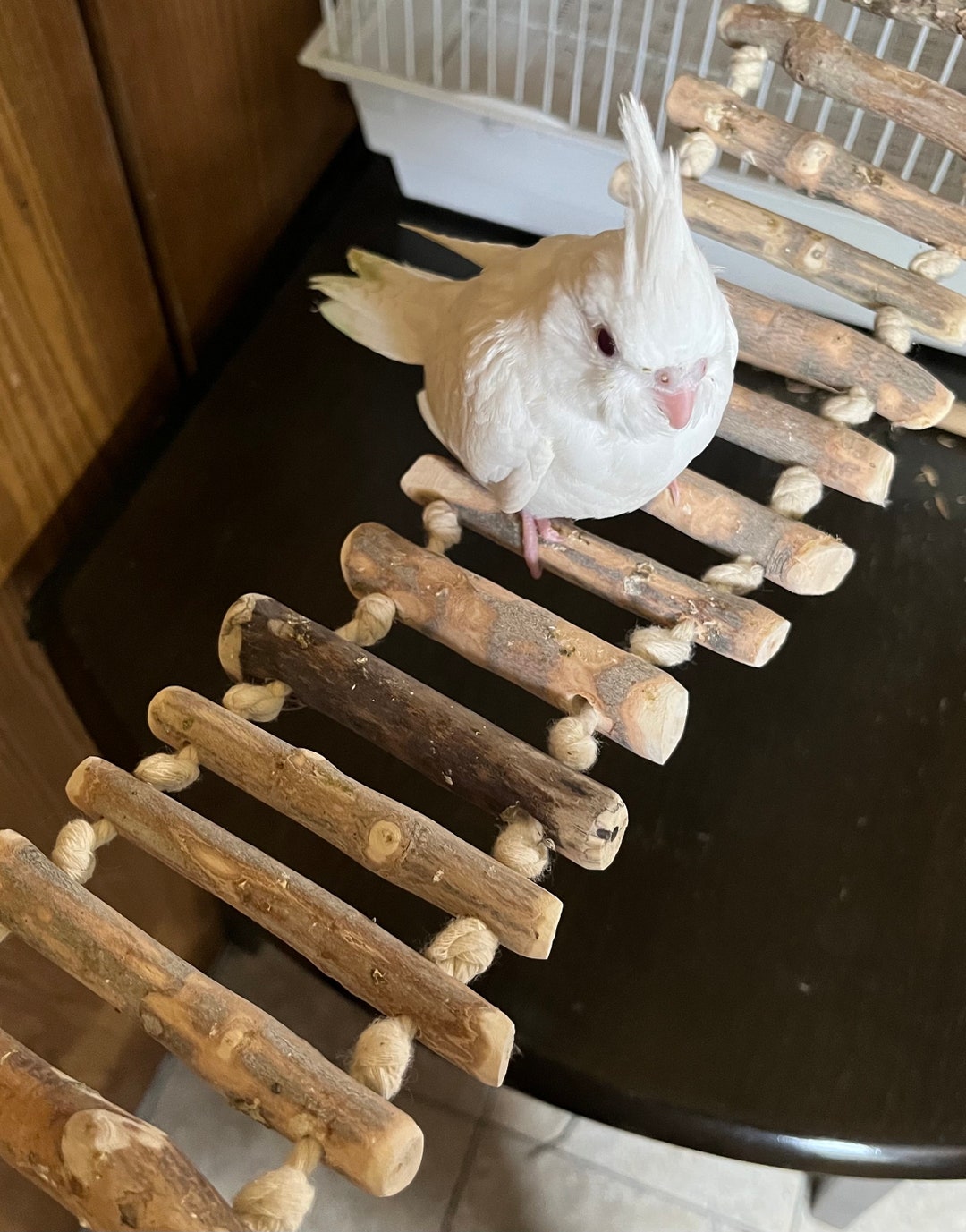 Bird Ladder, Parrot Ladder Bridge for Cockatiels, Conures, Parakeets and Other Small to Medium