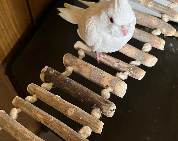 Bird Ladder Parrot Ladder Bridge for Cockatiels Conures Etsy
