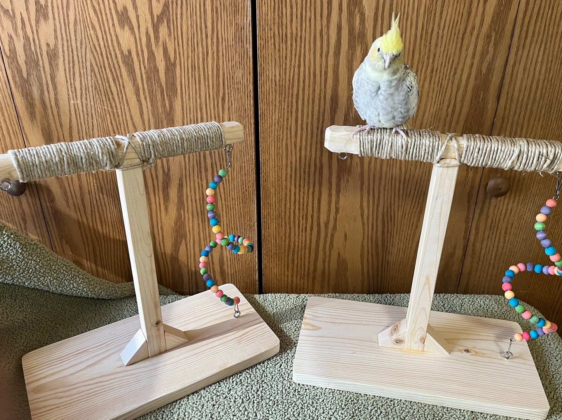 Tabletop Parrot Perch Training Perch Tabletop Bird Toys NO - Etsy