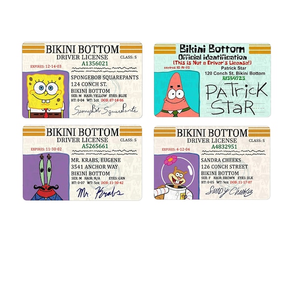 Licencia de conducir de Bob Esponja 4 piezas Etsy México