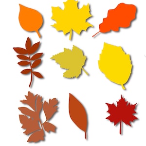 Fall Leaves SVG, Fall svg, Fall leaf png, dxf, jpeg