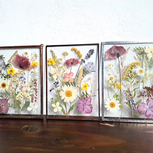 Pressed Flower Frame Botanical Dried Pressed Flower Frame Etsy Canada