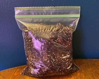 1 qt Peat Perlite Potting Mix | Carnivorous Plant Safe | Potting Mix | Organic Canadian Sphagnum Peat Moss | Horticultural Perlite |